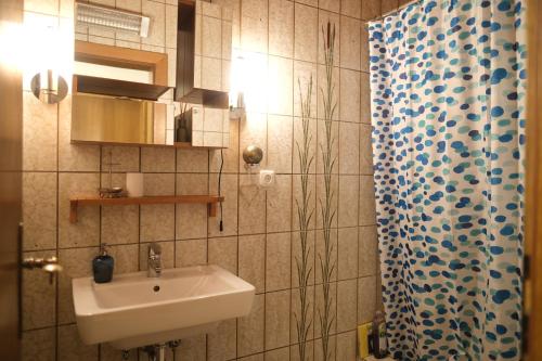 a bathroom with a sink and a shower curtain at Doppelzimmer in Innsbruck