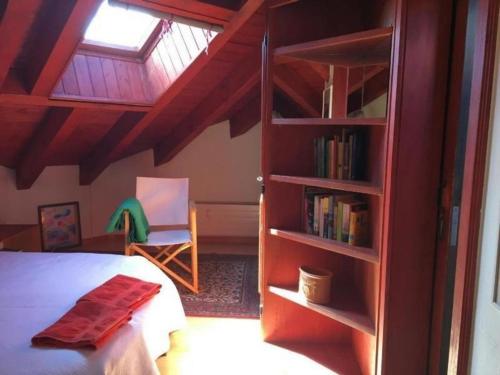 um quarto com uma cama e uma estante de livros em Chesa Linaira em Pontresina