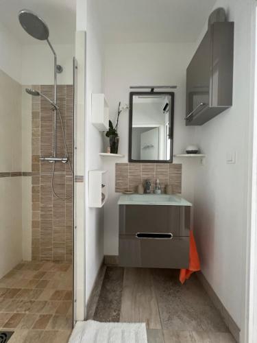 bagno con lavandino, specchio e doccia di Chambre d’hôte de Charme avec Piscine privative a Eyguières