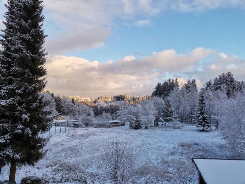 un campo cubierto de nieve con un árbol y árboles en MorNight, en Spiegelau