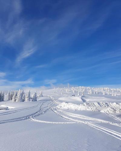 a snow covered field with tracks in the snow at Woodside TEA Residences & SPA Kopaonik in Kopaonik