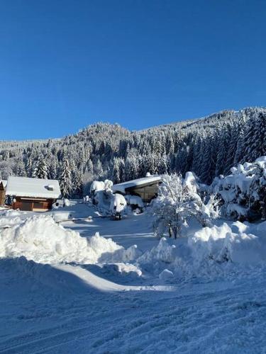 um quintal coberto de neve com uma casa e árvores em Appartement 24m² à la montagne em Arâches-la-Frasse