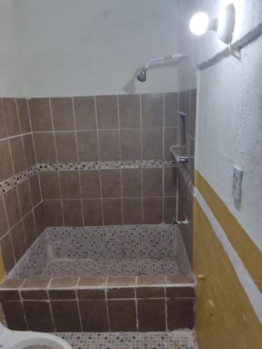 y baño con ducha alicatada y aseo. en Hostal Maruvillas en Petkanché