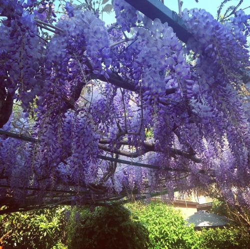Il Giardino Nel Parco R&B photo 45