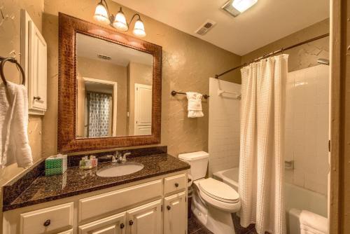 a bathroom with a sink and a toilet and a mirror at CW B203 Tubers Delight in New Braunfels