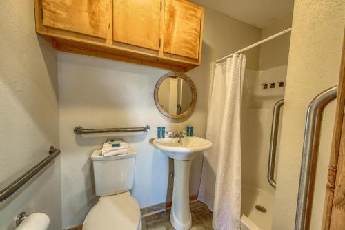 een kleine badkamer met een toilet en een wastafel bij OT 250NH No Hurry in Canyon Lake