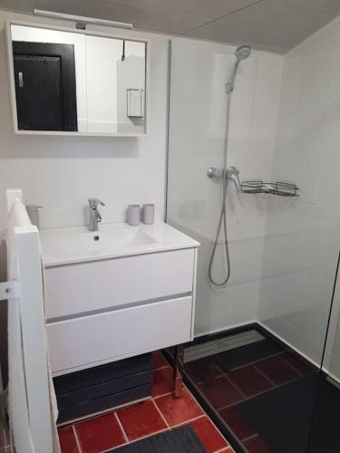 une salle de bain blanche avec un lavabo et une douche dans l'établissement Petite maison type Loft en plein bourg d'Ambazac, à Ambazac