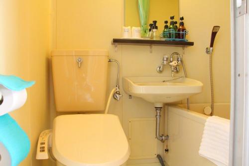 a small bathroom with a toilet and a sink at Maruyama Onsen Kojyokan in Minami Uonuma