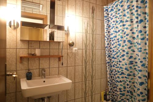 Kúpeľňa v ubytovaní Haus Blang Einzelzimmer