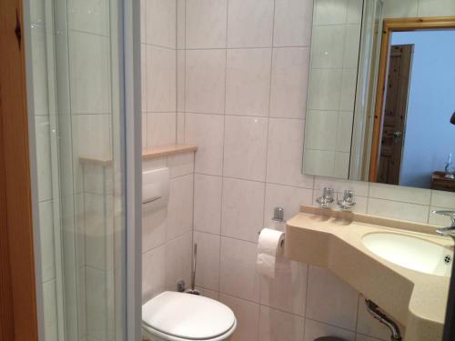 ein Badezimmer mit einem WC, einem Waschbecken und einem Spiegel in der Unterkunft Yumi Hotel Sushi-Steaks & Friends in Kaisersesch