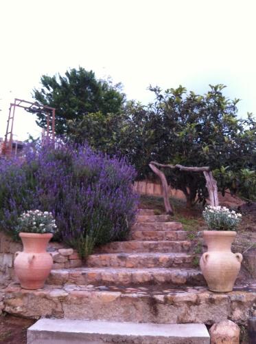 a set of stairs with purple flowers and vases at A FATA DI L'ORTOLO gîtes à la ferme in Sartène