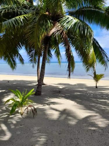 two palm trees on a sandy beach with the ocean at Paparei Beachfront Bungalows, Aitutaki in Arutanga