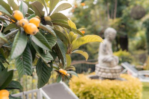 a statue sitting next to a tree with oranges at Tu cabaña Cuernavaca - hospedaje by Arcadia in Cuernavaca
