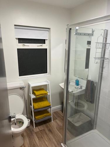 a bathroom with a shower and a toilet and a sink at Ramulligan Cottage in Cavan