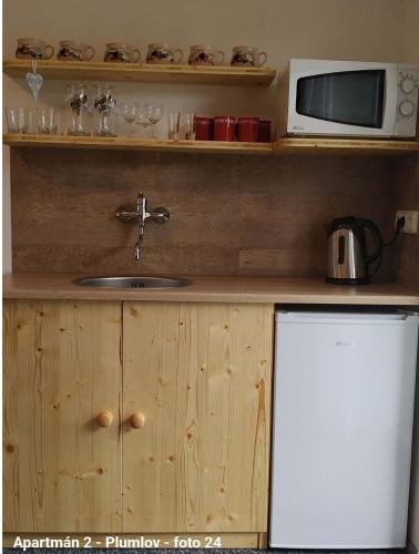 a kitchen with a sink and a microwave at Ubytování v Plumlově in Plumlov