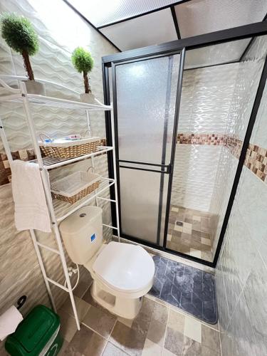 a bathroom with a toilet and a shower at Acogedor apto en Sonsón in Sonsón