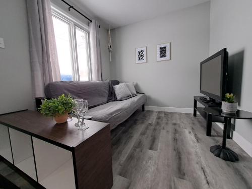 sala de estar con sofá y TV en Habitations Zenith en Sainte-Anne-de-Beaupré