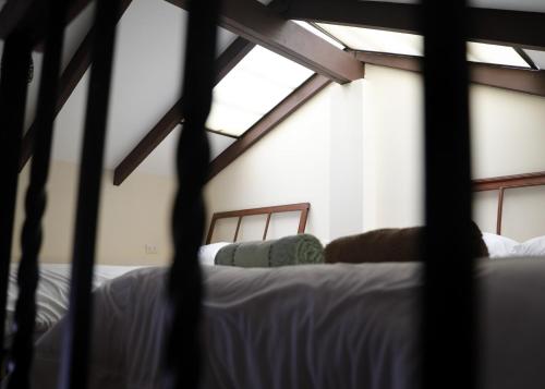a bedroom with two beds and a window at Olala house in Sucre
