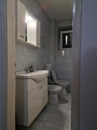 a bathroom with a sink and a toilet at Olive's apartment in Podgorica