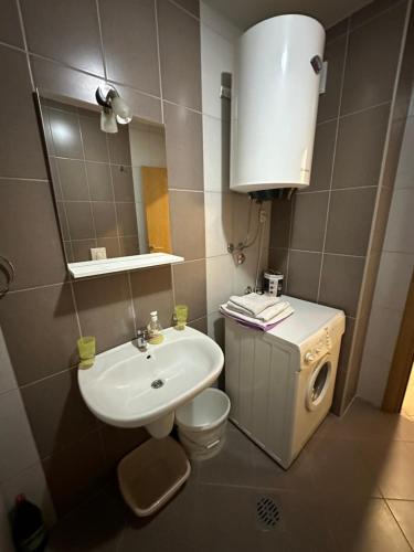 a small bathroom with a sink and a washing machine at Ania apartment in Podgorica