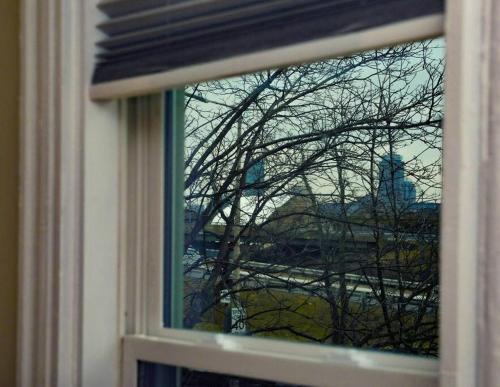 a window with a view of a tree at Boston Historical Urban Oasis in Boston