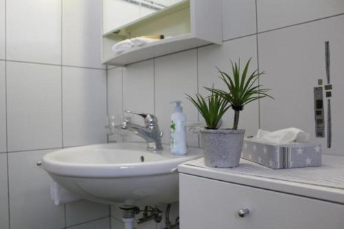 a white bathroom with a sink and a potted plant at Topwohnung für 2 - 3 Personen mit einem getrennten Schlafzimmer in Saas-Almagell