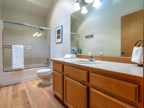 a bathroom with a sink and a toilet and a shower at Naturbyn Cabin in Glacier