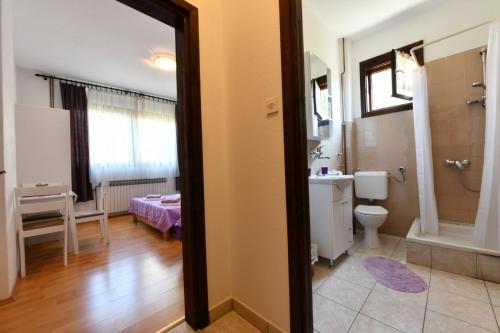 a bathroom with a toilet and a sink and a mirror at Apartments and rooms with parking space Rakovica, Plitvice - 20647 in Rakovica