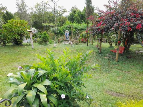 Κήπος έξω από το Finca Hotel La Venia Bendita Quindio