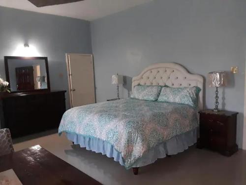 a bedroom with a bed and a dresser and a mirror at Dela de-Rose Guest House Negril Jamaica in Negril