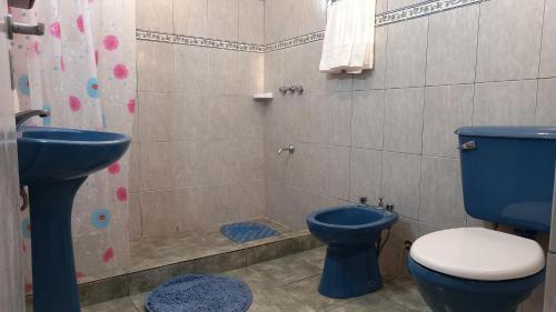 a bathroom with a blue toilet and a shower at Apartment El sueño de Julieta in Puerto Iguazú