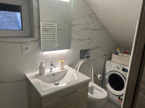 a bathroom with a sink and a washing machine at Home prestige 21 in Dijon