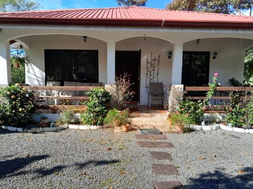 Green house – Photos 3