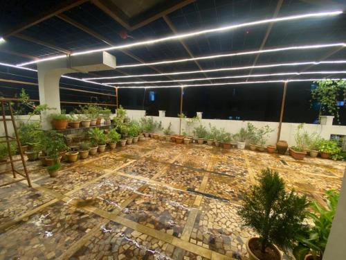 a room with a lot of potted plants at Visitors Lounge by MMG - 2&3BHK Furnished - Rd 12 Banjara Hills in Hyderabad