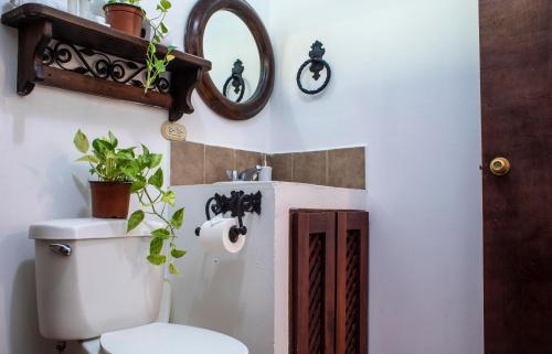 La salle de bains est pourvue de toilettes, d'un miroir et de plantes. dans l'établissement Hotel Hacienda del Mar, à Carrillo