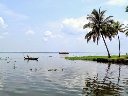 a man in a boat in the water with a palm tree at Eco Trails Houseboats in Kumarakom