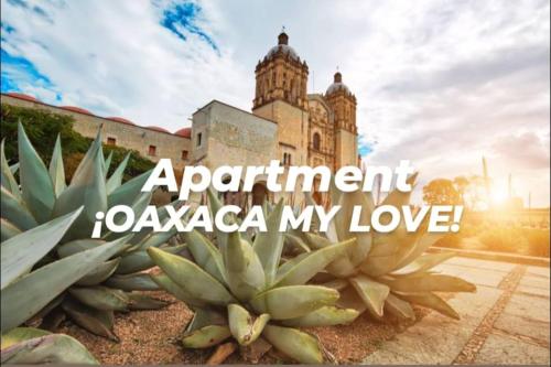 a building with a bunch of agave plants in front at Moderno y Tradicional, elegante departamento en Oaxaca in Oaxaca City