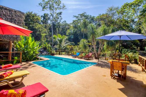 a resort pool with chairs and an umbrella at Mariposa Jungle Lodge in San Ignacio