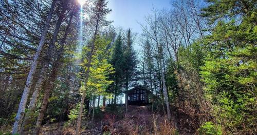 Black Bear Lodge on the Au Sable – Photos 3