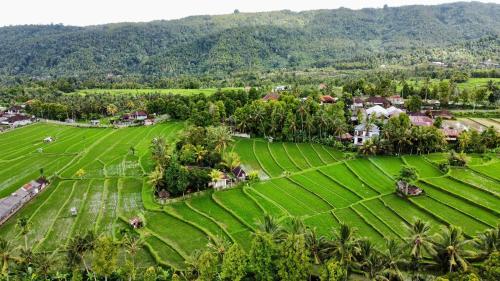 an aerial view of a village in a rice field at Atres Villa in Munduk