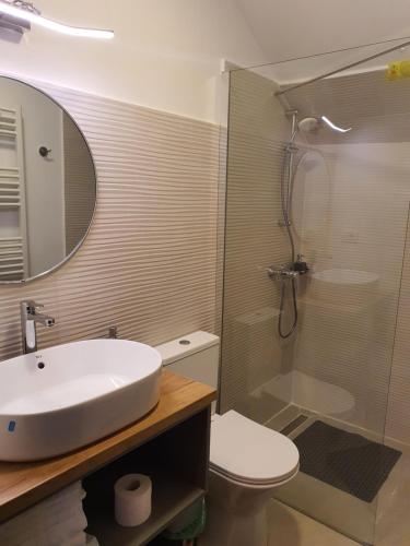 a bathroom with a sink and a shower and a toilet at FAMILY STUDIO in Sinaia
