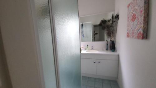 a bathroom with a sink and a mirror at Nature's Melody Share Home in Brisbane