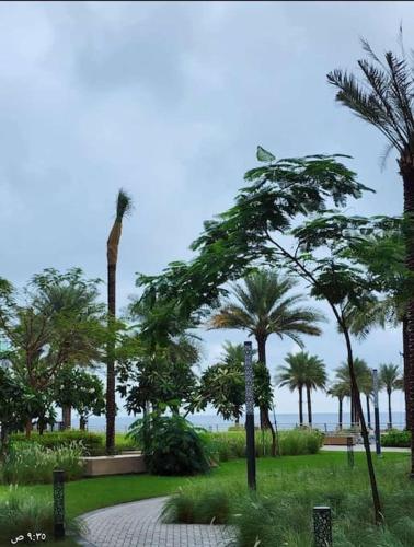 a park with palm trees and a walk way at Address Beach Resort Fujairah Apartment 2 Bed Rooms and Small Bed Room - Ground Floor 3011 in Al Aqah