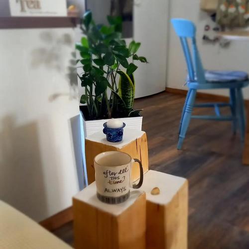 a coffee cup sitting on a table with plants at Holiday Home Paunovaca in Erdut