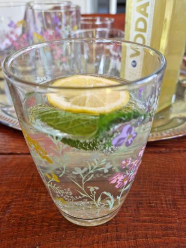 a glass with lemon slices in it on a table at Holiday Home Paunovaca in Erdut