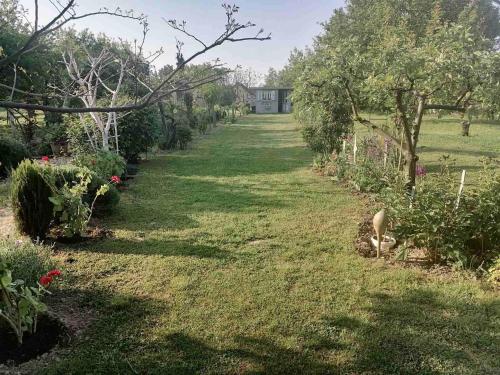 a garden with trees and plants in a field at Holiday Home Paunovaca in Erdut
