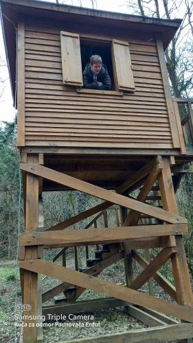a man looking out the window of a tree house at Holiday Home Paunovaca in Erdut