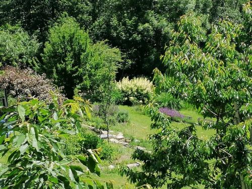 a garden with bushes and trees and a park bench at Bydlinská zahrádka Těšíkov in Šternberk