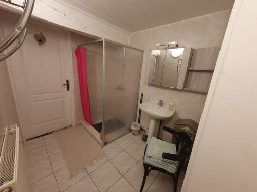 uma pequena casa de banho com um chuveiro e um lavatório. em Dépendance pour 1 à 4 pers au calme dans propriété em Marboz