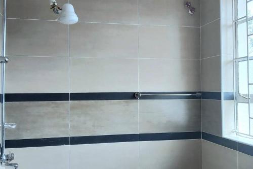 a bathroom with a shower with blue and white tiles at Modern &homely guest suite w/free parking in Karen in Nairobi